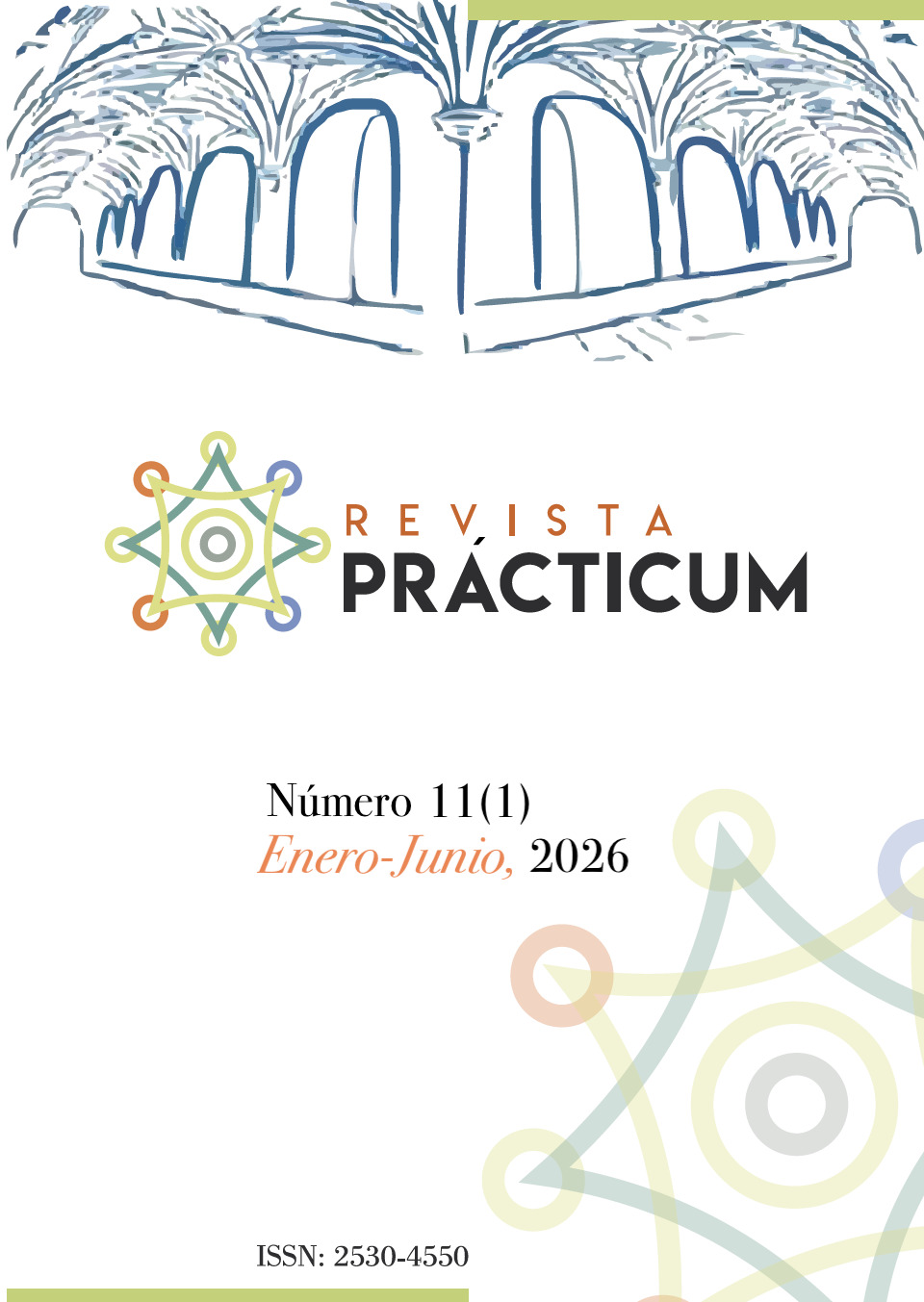 prácticumv11n1