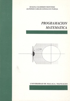 Programación matemática